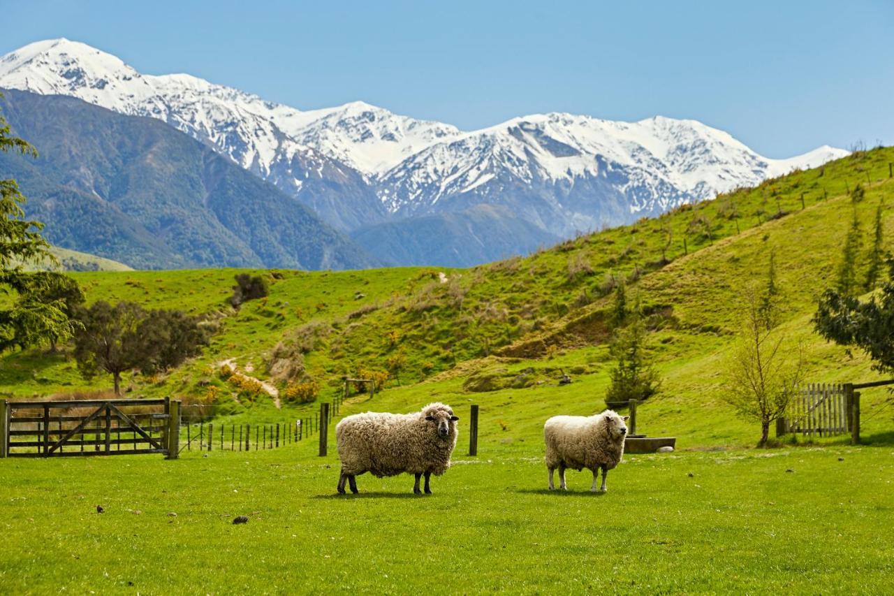 Kaikoura, Cubby House Holiday home *